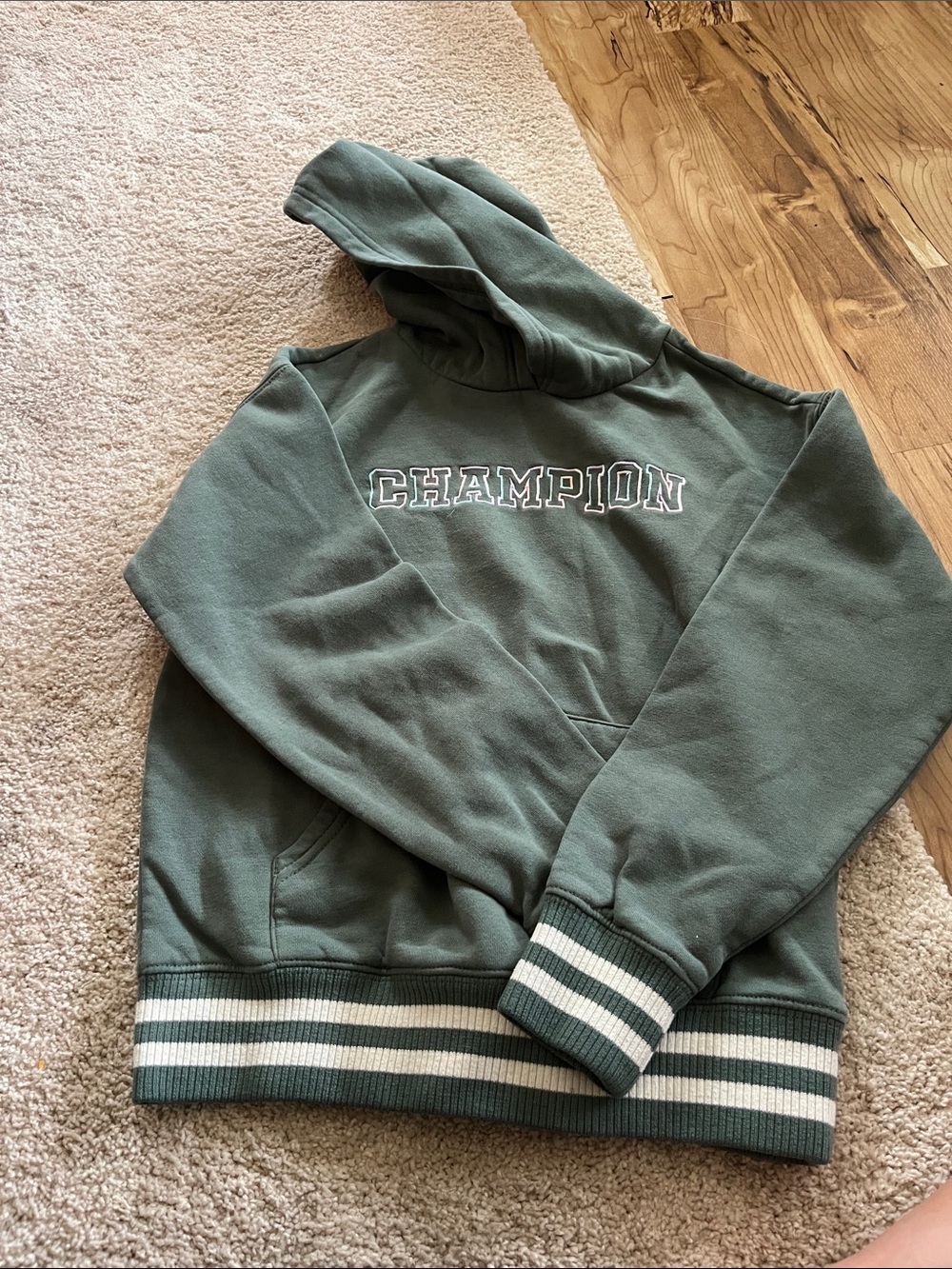 Champion Olive Green Hooded Sweatshirt with Stripe Ribbing